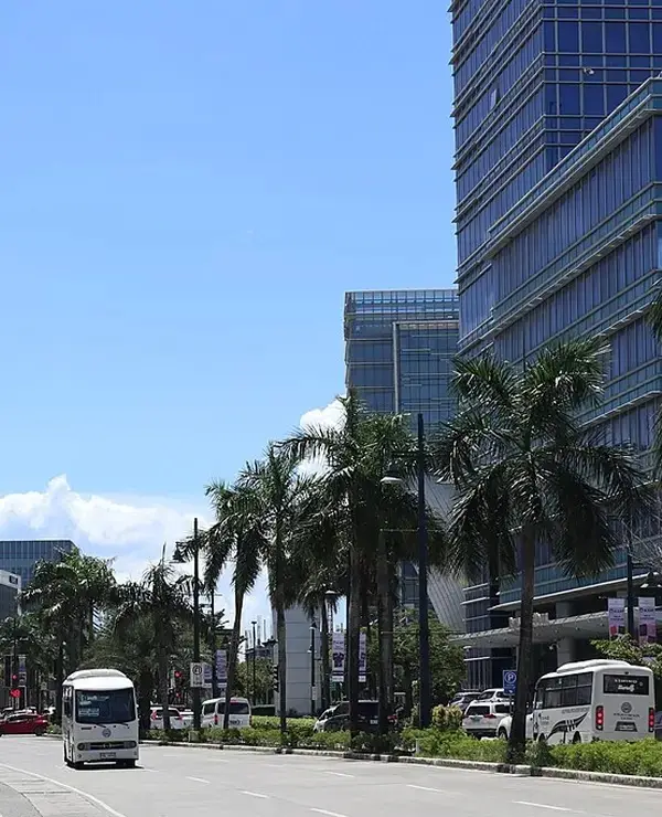 Palm-lined street in Iloilo Business Park
